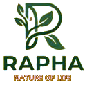 Logo header